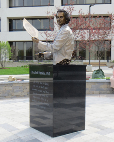Rosalind Franklin statue at hospital